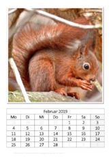 Februar_Eichhörnchen_1.pdf